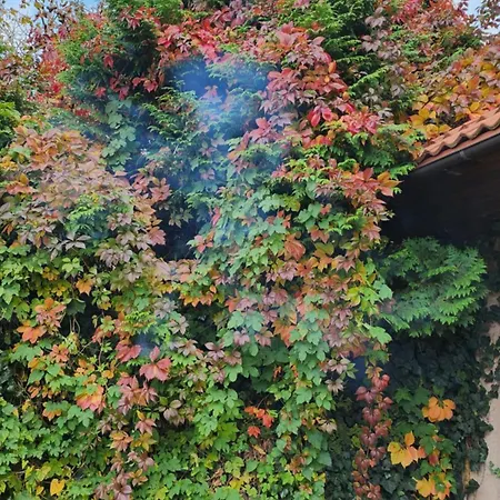 فندق مبيت وإفطار Pallas