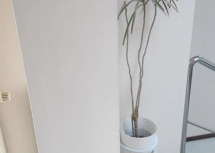 Pallas فندق مبيت وإفطار