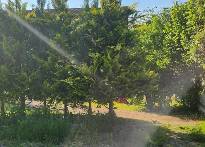 Pallas فندق مبيت وإفطار