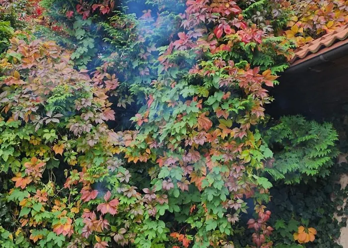 فندق مبيت وإفطار Pallas