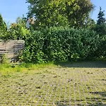 Pallas Gdańsk
