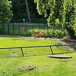 Pallas