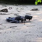 Nocleg ze śniadaniem Pallas