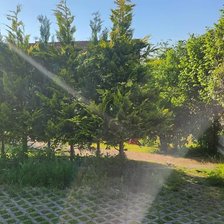 Pallas Bed & Breakfast