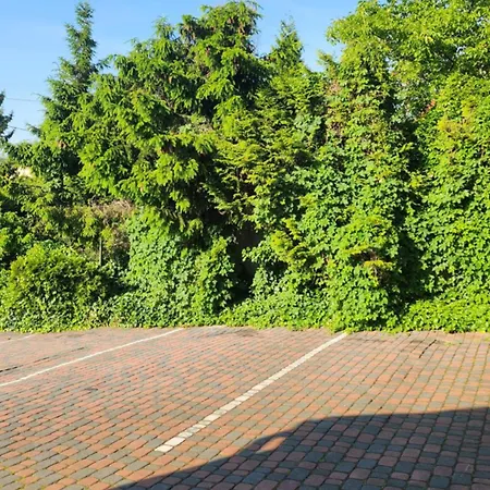 Bed & Breakfast Pallas