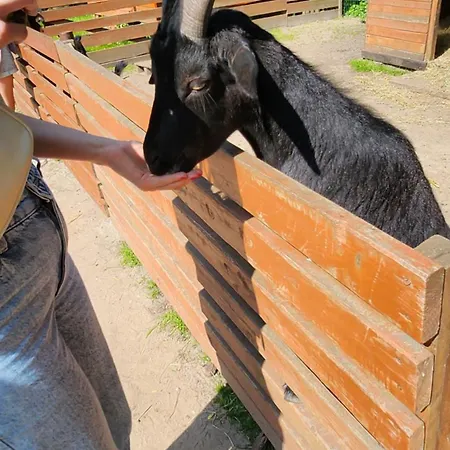 Pallas Bed & Breakfast 3*