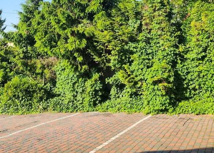 Bed & Breakfast Pallas