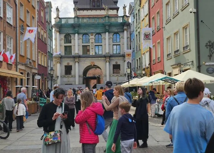 Pallas Отель типа 